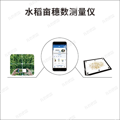 水稻畝穗數(shù)測量系統(tǒng)
