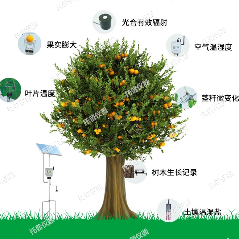 植物生理生態(tài)監(jiān)測系統(tǒng)